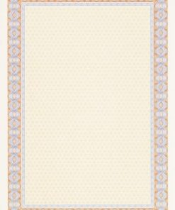 Alternative view of Certificaatpapier DECAdry / Apli DSD1053