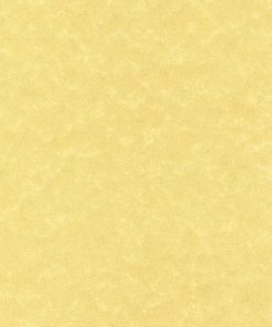 Alternative view of DECAdry APli Perkament GOUD PCL 1600