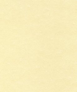 Alternative view of DECAdry APli Perkament Champagne PCL 1601